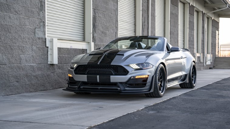 Shelby Super Snake Speedster resim galerisi (16.03.2021)