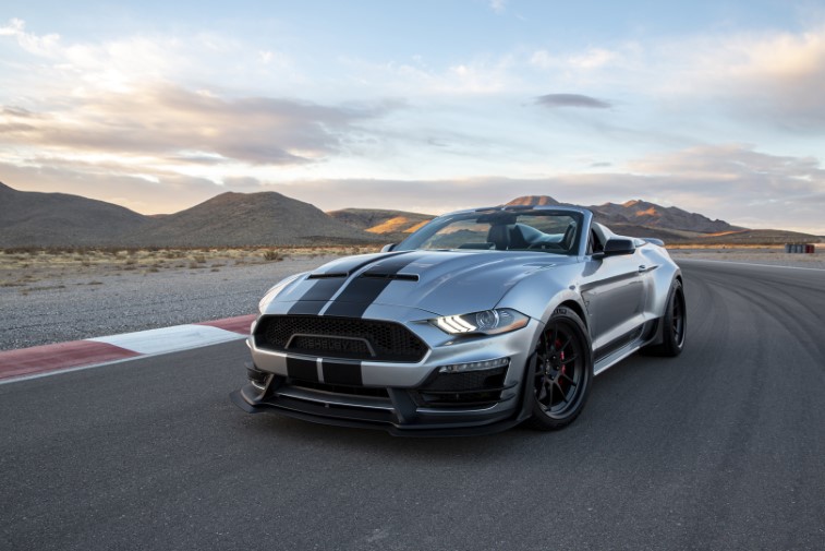 Shelby Super Snake Speedster resim galerisi (16.03.2021)