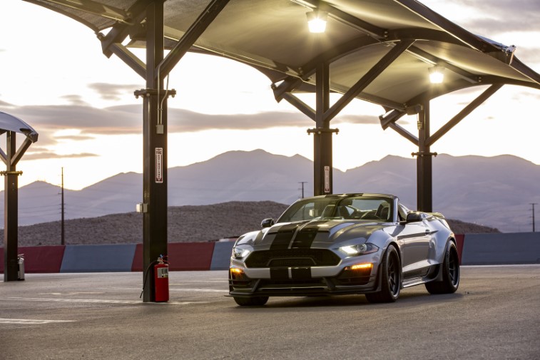 Shelby Super Snake Speedster resim galerisi (16.03.2021)