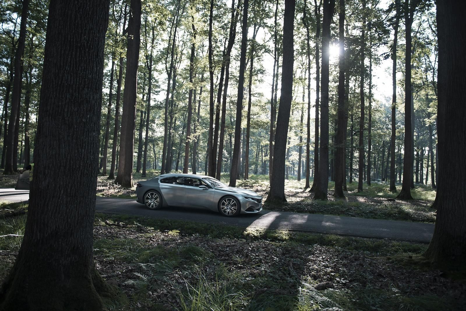 PEUGEOT EXALT KONSEPT (AVRUPA VERSYON) RESM GALERS