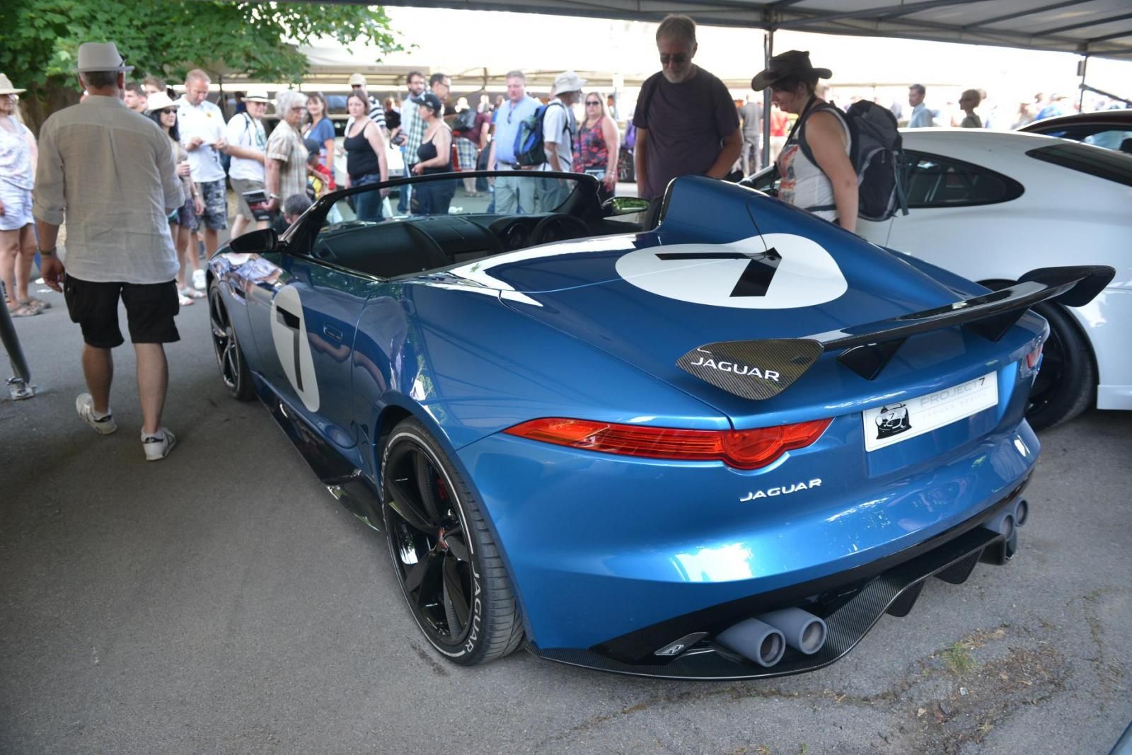 GOODWOOD OTOMOBL FESTVAL RESM GALERS