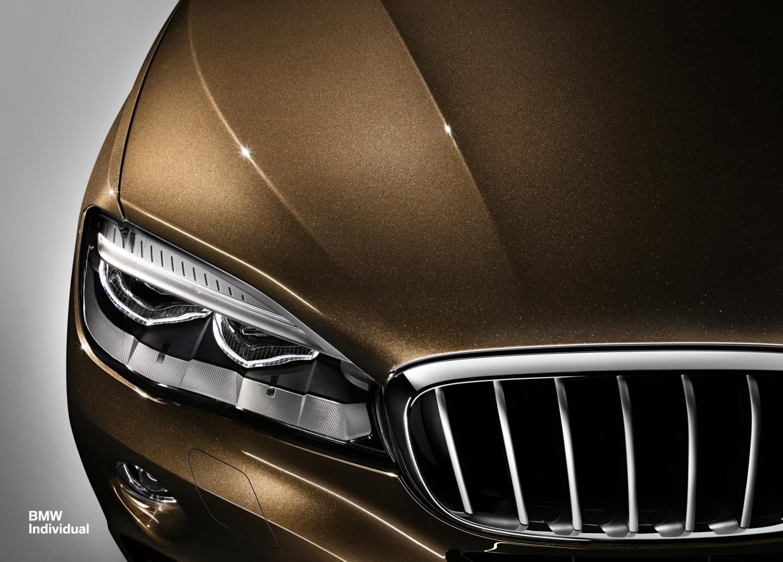 YEN 2015 BMW X6 NDVDUAL RESM GALERS