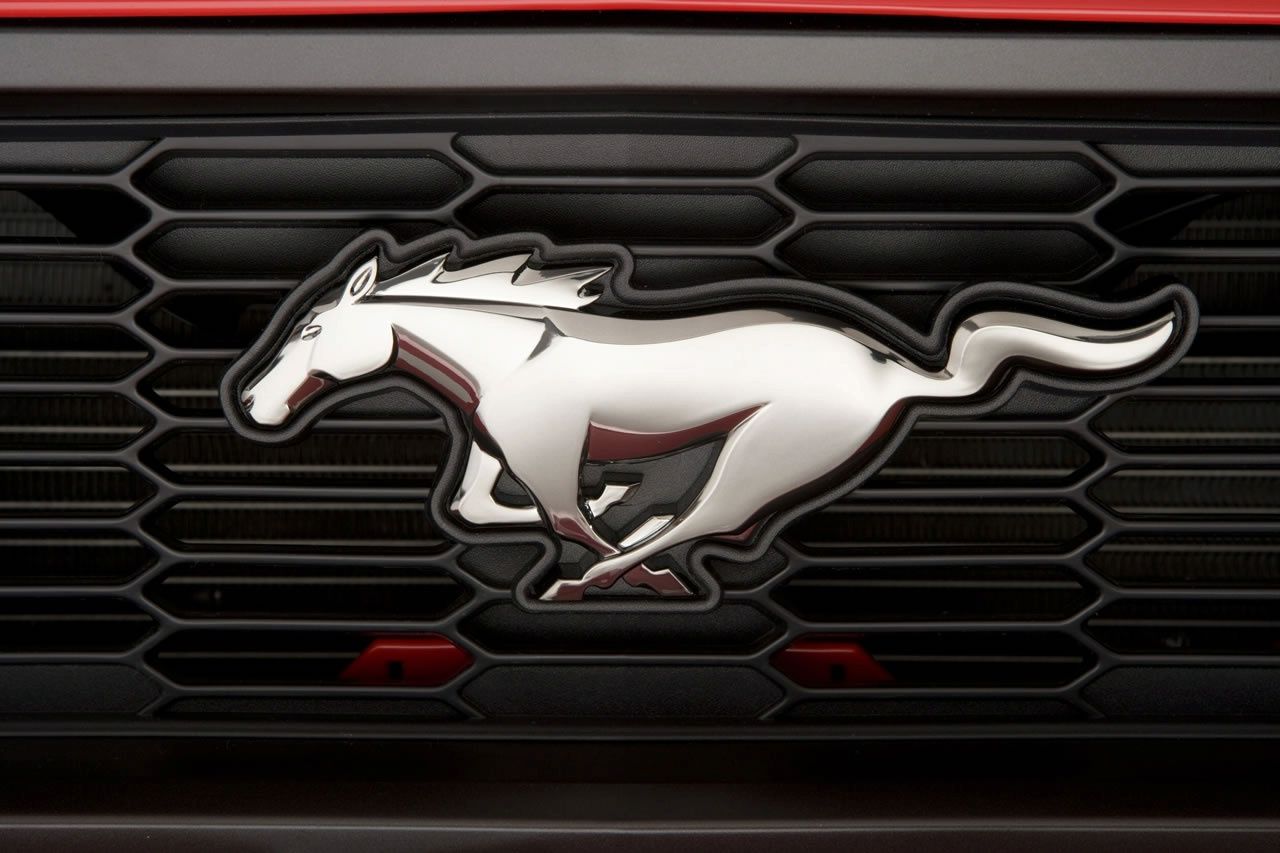 FORD MUSTANG (2010) GALER