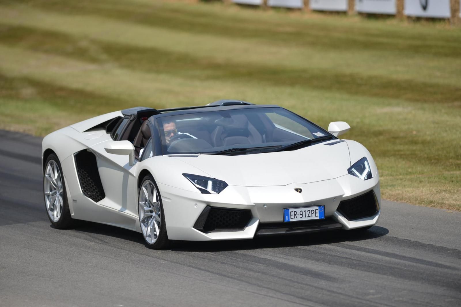 GOODWOOD OTOMOBL FESTVAL RESM GALERS