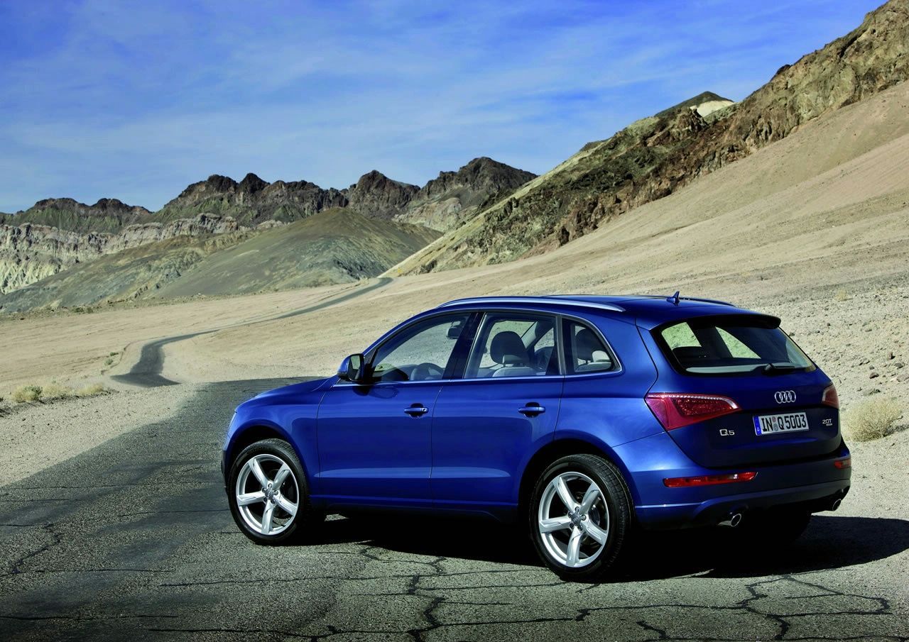 AUD Q5 (2009) GALER